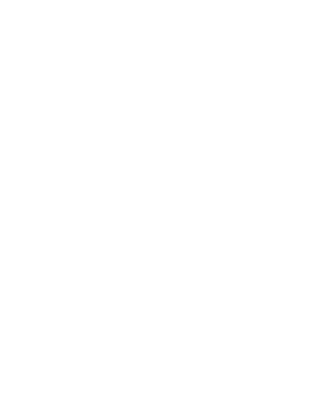 elefant indrayoga